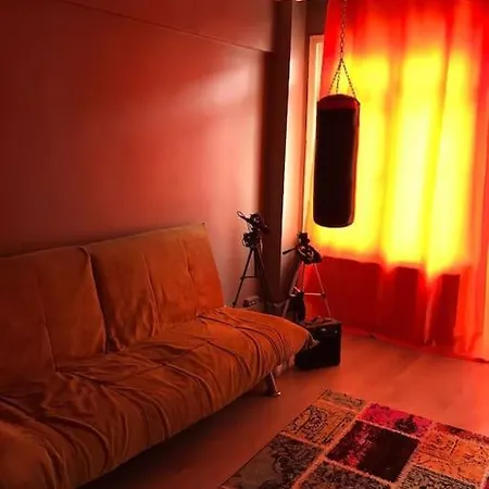 Apartment Venus Design